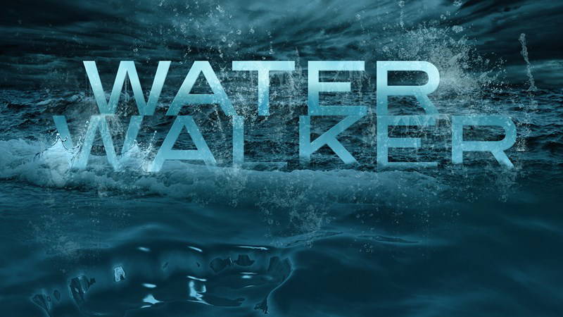 Series image for Water Walker